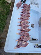 [Image: 4305327156204434017.jpg]