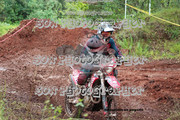 IMG-6445