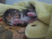 KakaoTalk_20230806_174426711_21