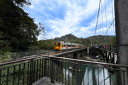 十分站周邊的觀瀑吊橋緊鄰鐵道路段 列車行駛而過形成的獨特景致 是旅途中不可錯過的必拍畫面
