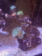 d3431d56 9eaf 4935 9092 7ccc3ac942e0