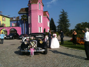 IMG-1312.jpg
