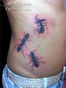 IMG-0958.jpg