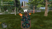 mta-screen-2026-06-18-13-37-28