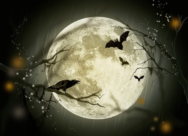 halloweenholid-photos free lr background image download precap
