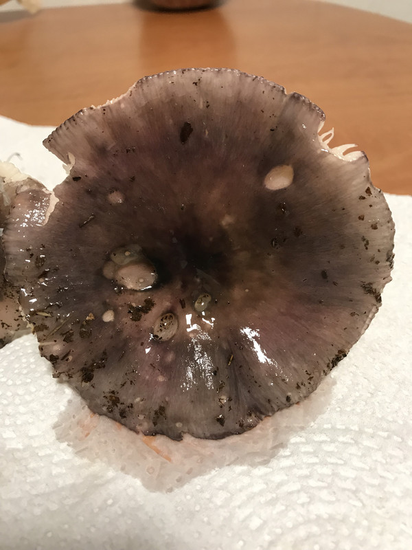 59210C3A-8FC0-4C18-8DD3-421AF2D1B539