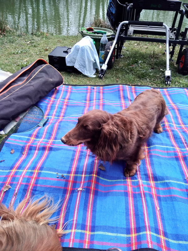 [Image: IMG-20220330-132643.jpg]