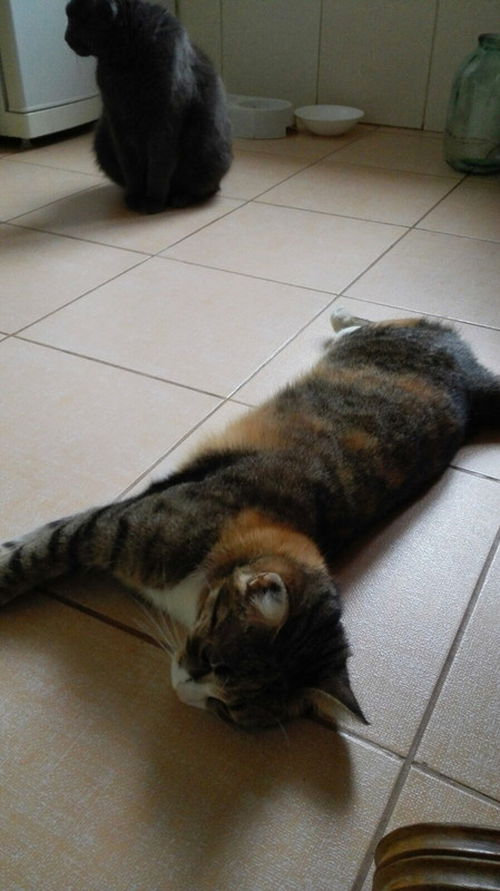 AFB7EF95-50A4-4A69-A35B-A02FCD7A6EA2