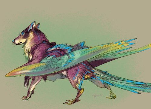Winged Dogs
