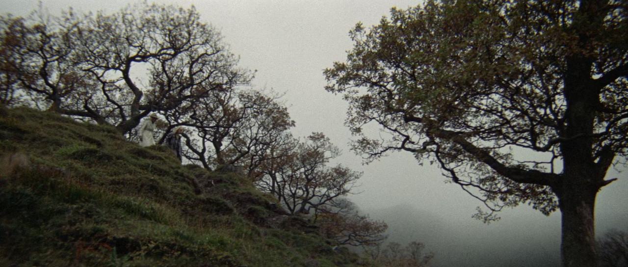 Images (1972) (1080p BluRay x265 r00t)-10