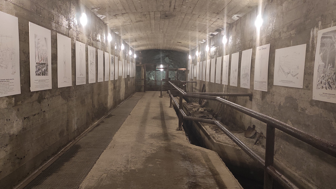 11.14 - IMG_20230501_110337 Czesio1)