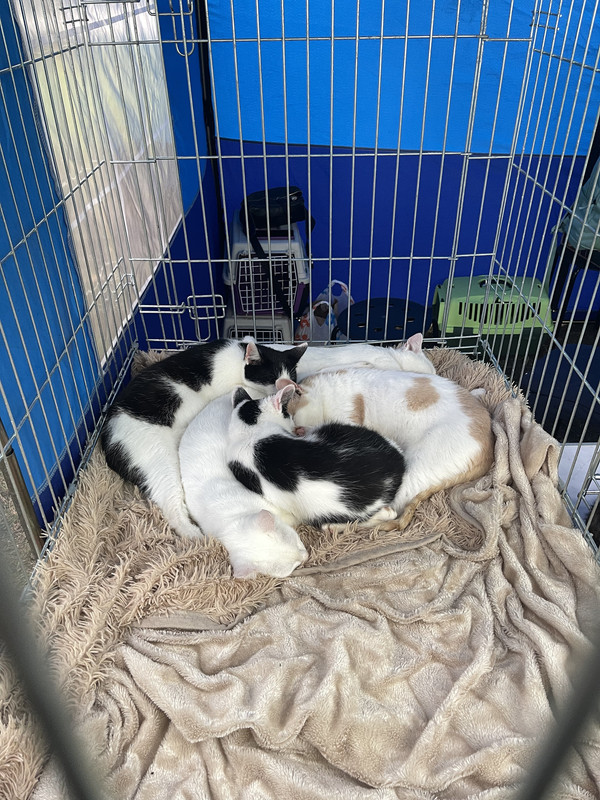 3C25288C-9429-4CB2-9A45-3B3A4CB1F944