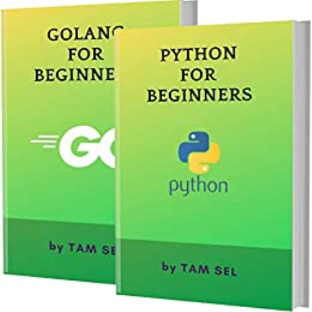 Python And Golang For Beginners: 2 Books In 1 - Learn Coding Fast!