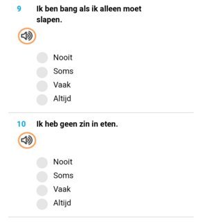 voorbeeld-vragen