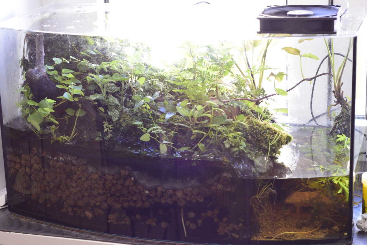 461539321_27702859619313696_6585028512279814485_n