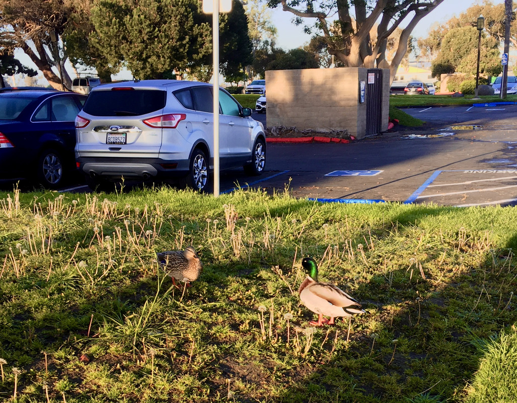 F0E5424B-DD03-40F9-A198-691227DC3C3F