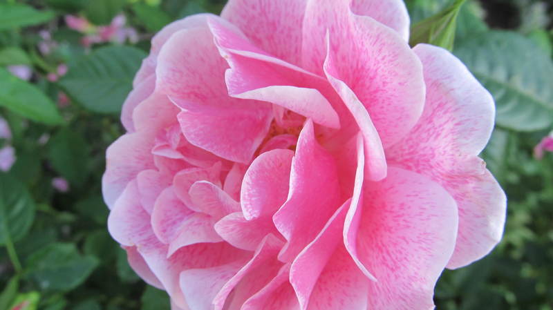 056
