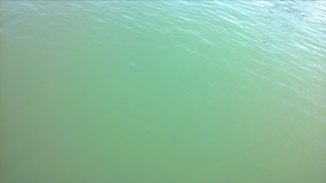 [Image: Water-Color-Of-Lake-Michigan.png]