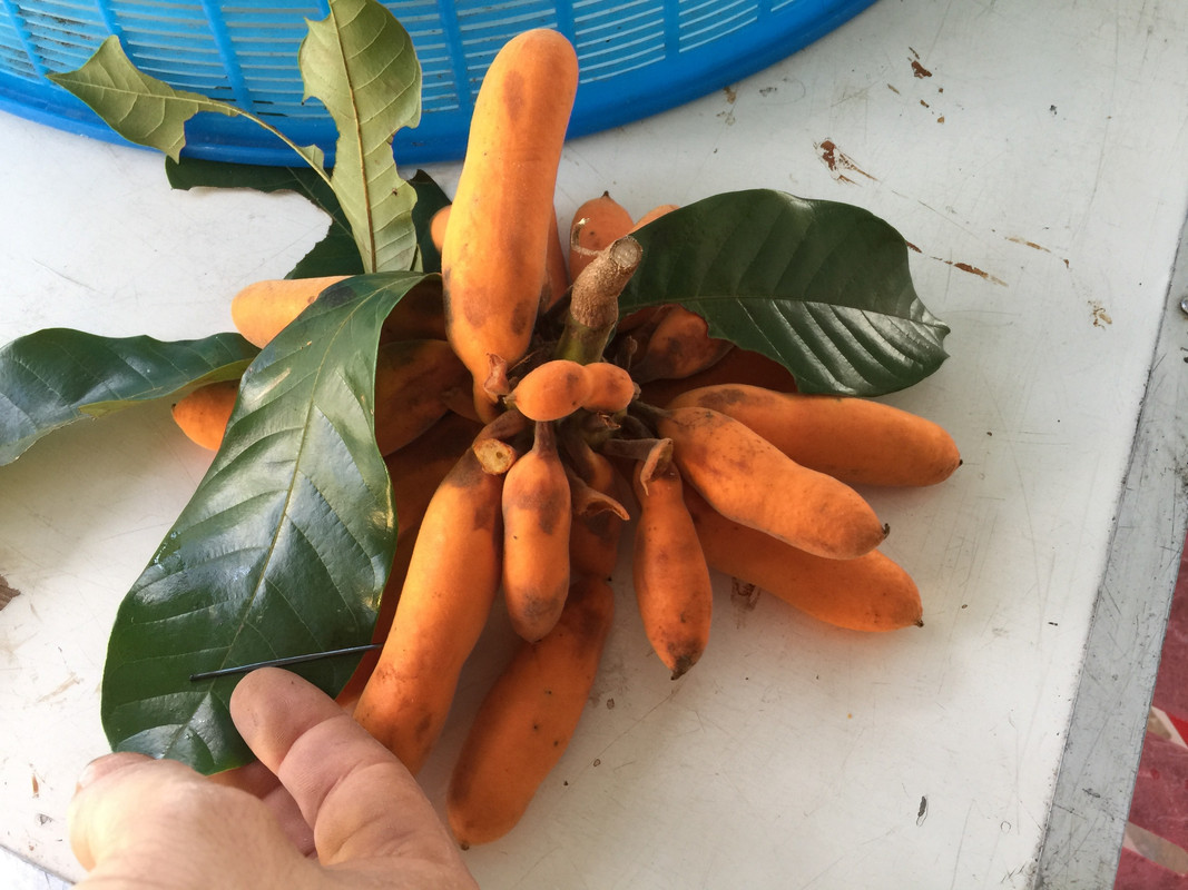 F76C3EFB-CB69-4A99-87DA-191E4EAEA47E