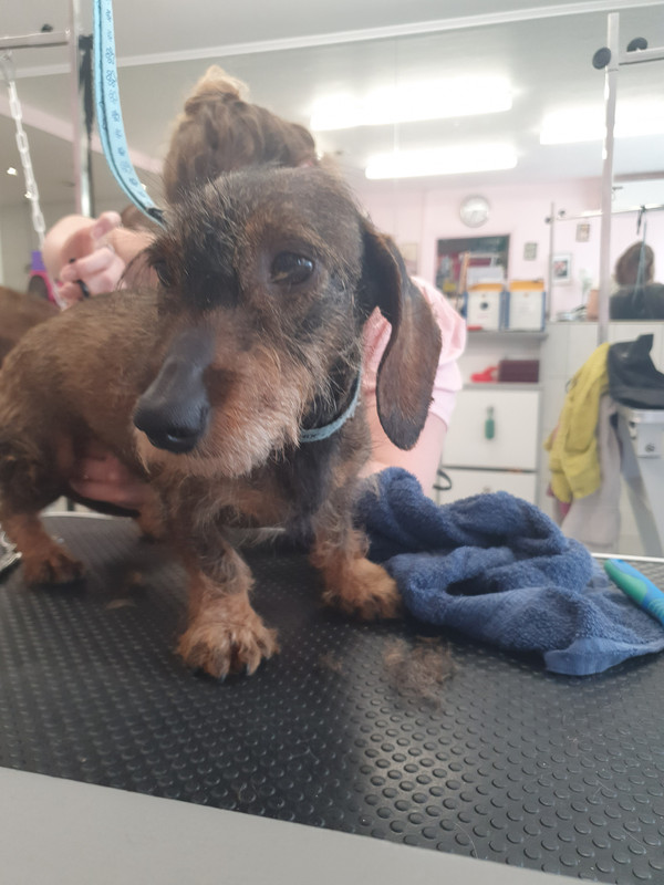 [Image: 20220513-171115.jpg]