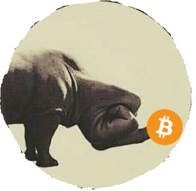 Rhino₿itcoin's avatar