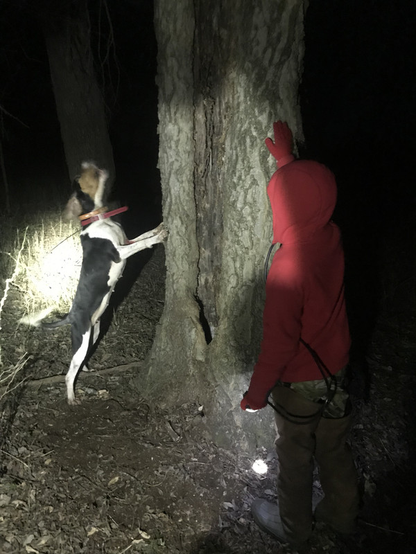 FD76AB57-2E8B-4122-A4EA-90C3029C8B62