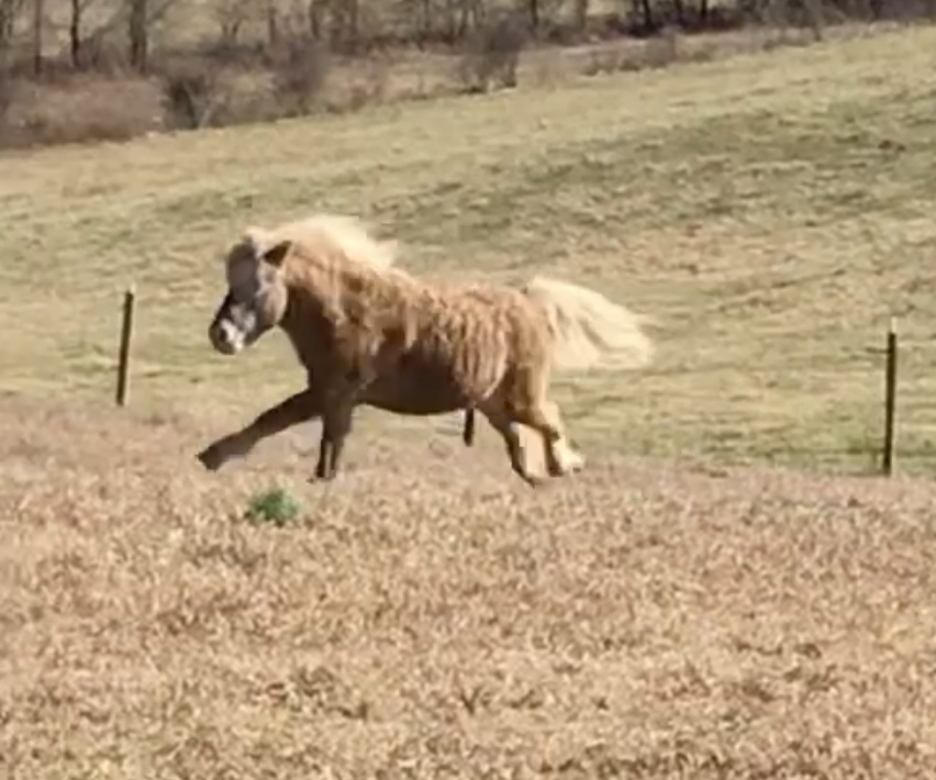 3DF64A82-3158-4075-BBEA-8E971220D10A