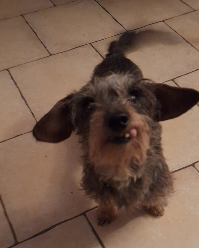 [Image: 20250210-185302.jpg]