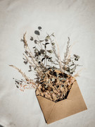 imagegraphic-5