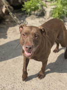 IMG_20230706_152127_957