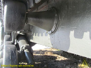 IMG-3446