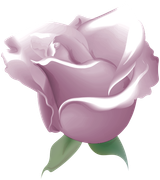 TADD-elements-Last-Dance-In-Paris-121