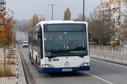 IMG-1119