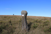 IMG-0165