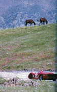 Targa Florio (Part 4) 1960 - 1969  - Page 13 1968-TF-182-007