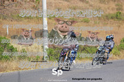 IMG-2967