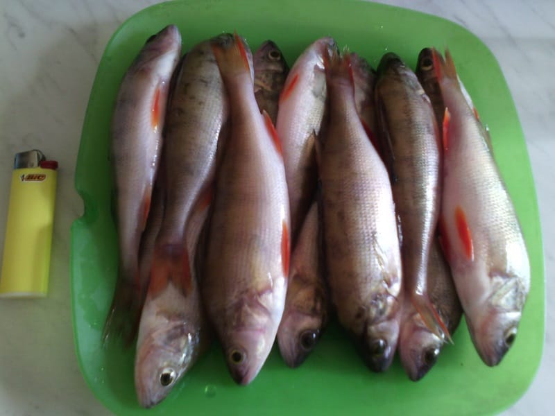 Крест 24.08.16г УЛ ОТВ