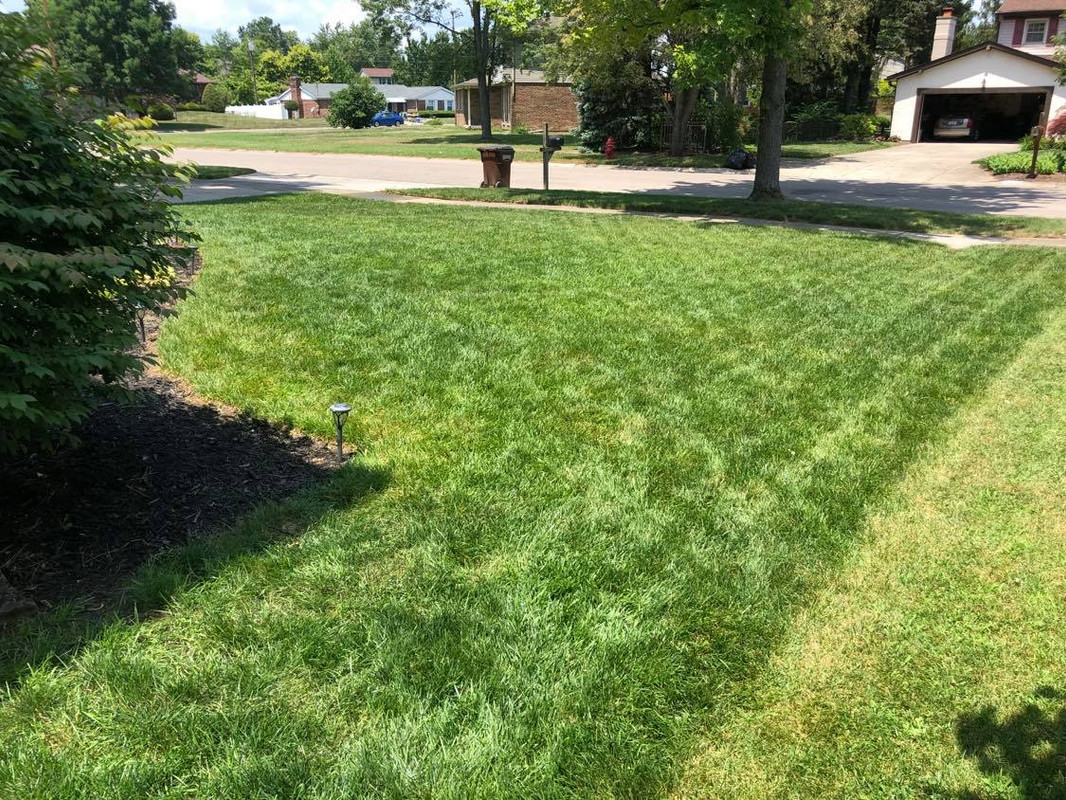 120378187_2419483801678614_5784806165685211942_n