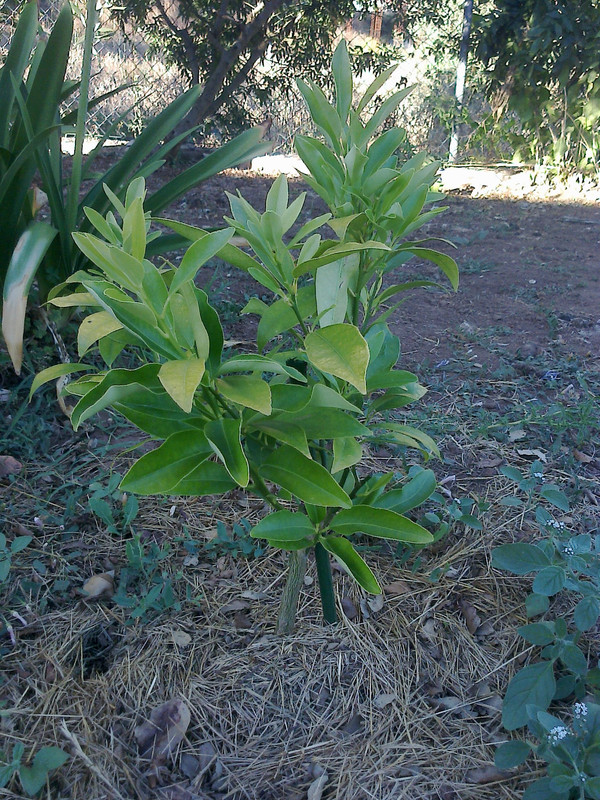 foto0128