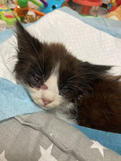 16E267C7-6739-4669-9B99-D1A97C282EC4