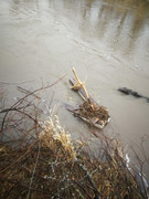 IMG-20200501-185040
