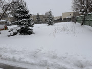 IMG-6526