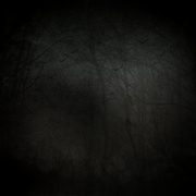 DBK-Gothic-Christmas-P5