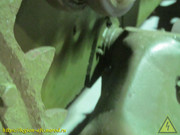 IMG-3350