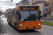 IMG-5369
