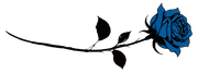 rosa-1
