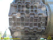 IMG-5516
