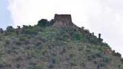 DSC-0421