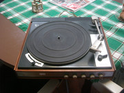 DSC07427.jpg