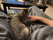 9868827D-8EBA-40BF-AAB9-6B3692F4E4A8